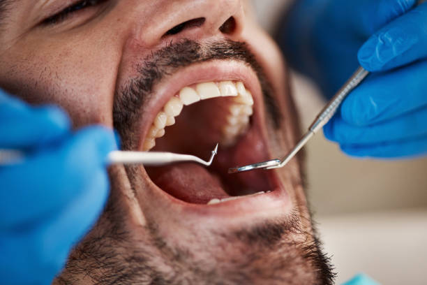 Best Dentist for Dental Trauma  in Harwich Port, MA
